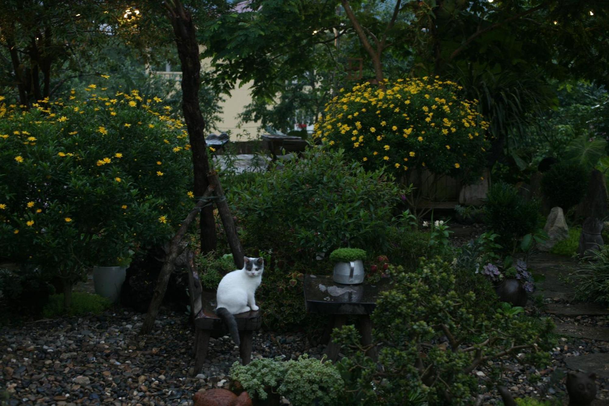 La Maison House & Bungalow Sa Pa Exterior photo
